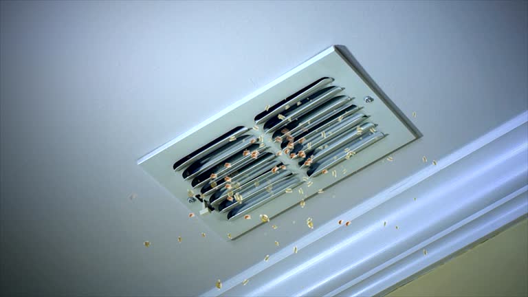 Reliable Guadalupe, AZ Airduct Cleaning Solutions
