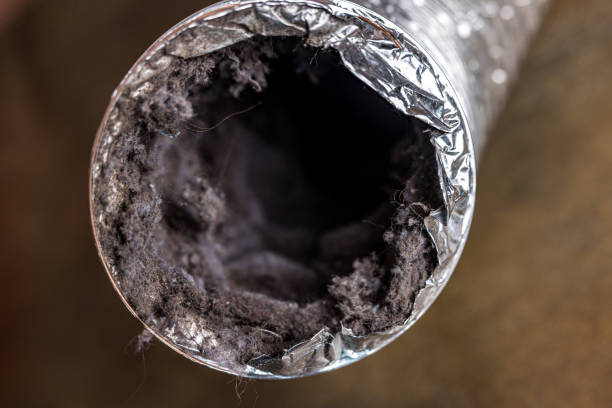 Best Ventilation Cleaning Services  in Guadalupe, AZ